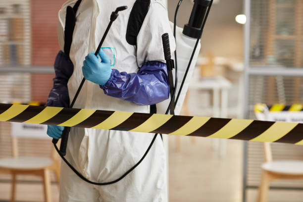 Professional Sewage Cleanup technician working in Glencliff, NH